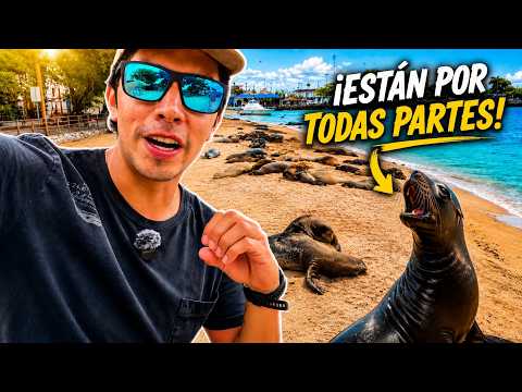 2 Días en San Cristóbal, La isla de los lobos 🦭😱