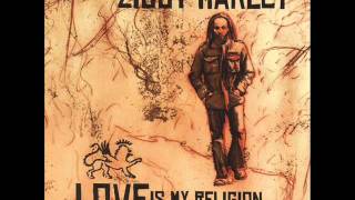 ziggy marley into the groove