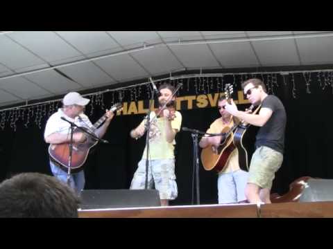 Tristan Clarridge, Apple Blossom, 20140426