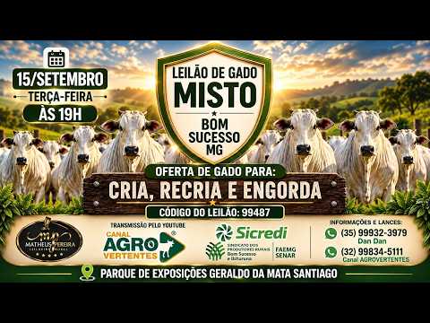 LEILÃO MISTO SINDICATO RURAL DE BOM SUCESSO E IBITURUNA/MG - 15/09/2026
