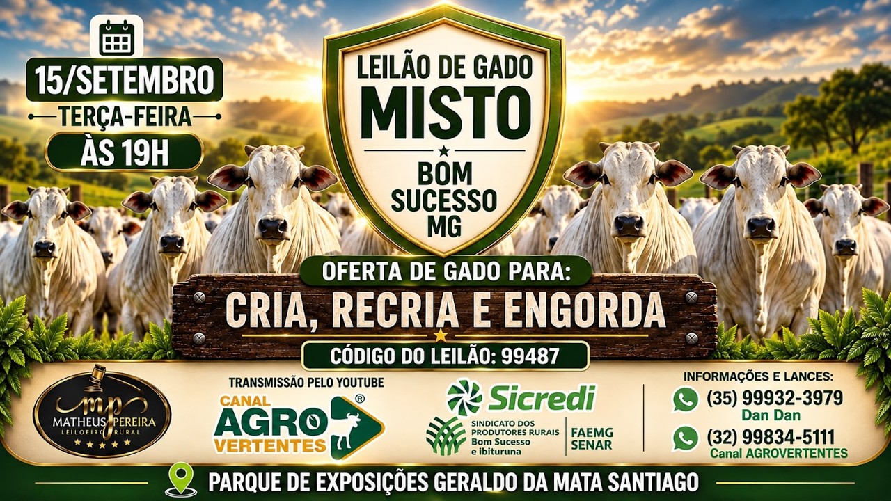 LEILÃO MISTO SINDICATO RURAL DE BOM SUCESSO E IBITURUNA/MG - 15/09/2026