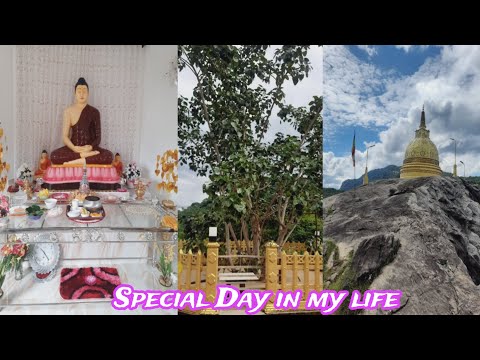 Special Day in my life 🥰 | Kaushalya Vlog 😍