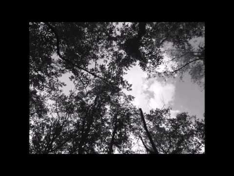 Smoke And Mirrors - Puscifer