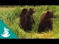 Documentary Nature - The Planet of Life