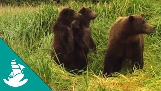 The planet of life (Full Documentary)