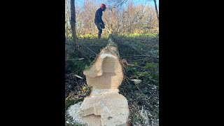 Cracking effort Cross cutting timber and tidying up on the beautiful Somerset Levels, #training