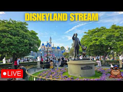 Live webcam of Koda Bear the Explorer 