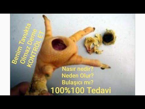, title : 'TAVUKLARDA AYAK ALTI NASIR %100 TEDAVİSİ'
