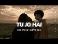 Tu Jo Hai To Mai Hu SLOWED REVERB Song Lofi Mood