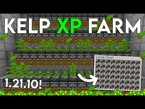 NEW UPDATED Minecraft 1.21.10 KELP XP FARM TUTORIAL