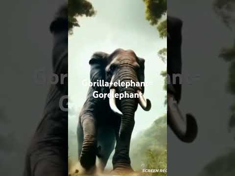 Gorilla+elephant=gorelephant
