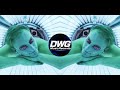 Ray & Beer - ZONNEBANK (SENNETIX Uptempo Edit)(Official Visualiser)