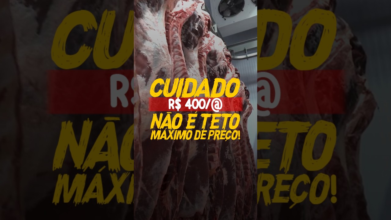 CUIDADO: R$ 400/@ NÃO É TETO MÁXIMO DE PREÇO!