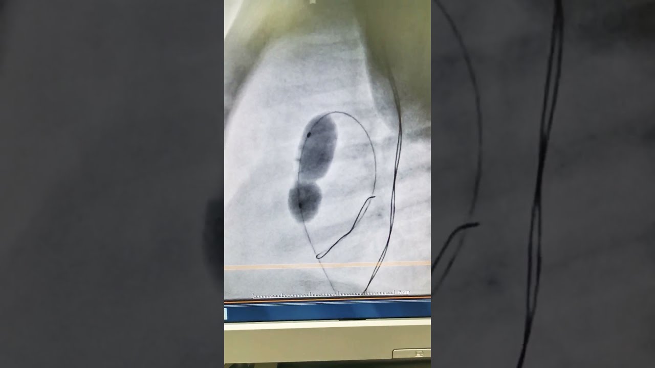 Fabiola López Madrigal-27