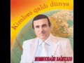 Memmedbagir Bagirzade Axsamlar 