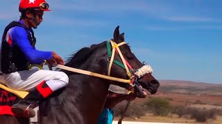 Carreras de caballos en el Centro, Fresnillo 2018.