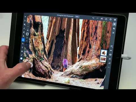 How to use the Clone Stamp tool to hide distractions or remove objects from a photo in Photoshop