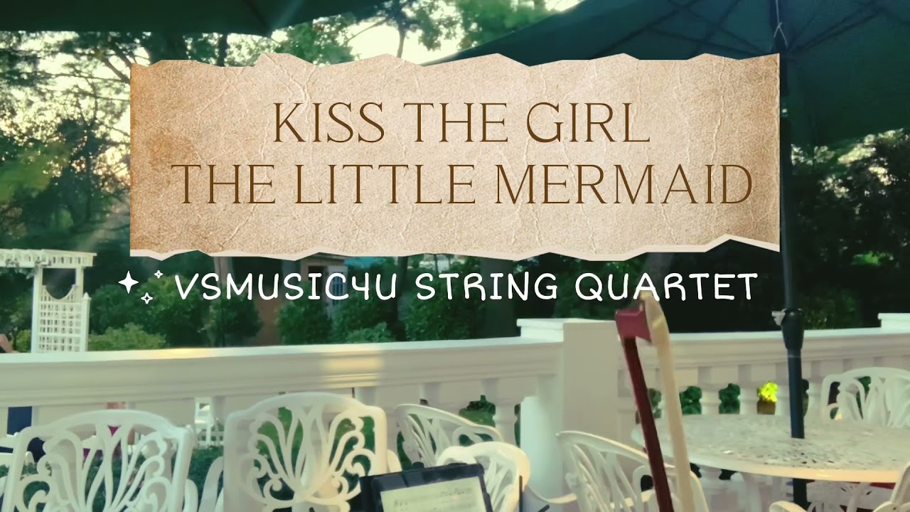 Promotional video thumbnail 21 for VSmusic4u Wedding & Event Musicians