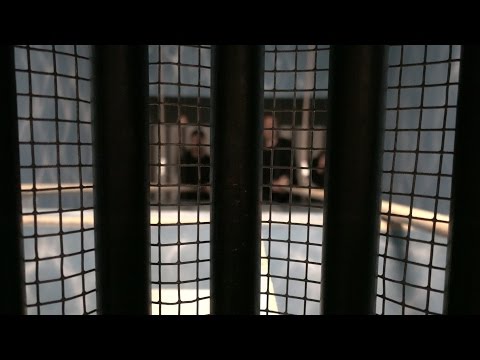 Norge vs. Sverige - Fångarna På Fortet