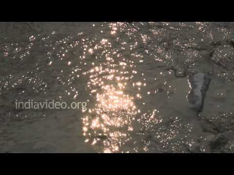 Sound of river flowing