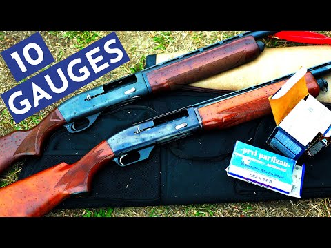 10 Gauge Semi: ULTIMATE POWER Goose/Duck Gun