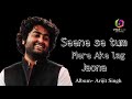 Seene Se Tm Mere Aake Lag Jao Naa Album Arijit Singh