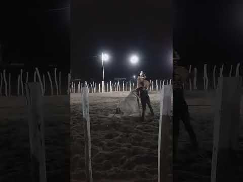 vaqueijada em São João do arraial