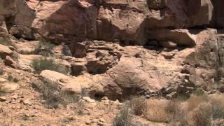 preview picture of video 'Hopi Petroglyphs, Somewhere pt. 2 of 3'