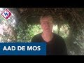 Aad de Mos heeft advies voor ADO-supporters: 'Er is kritiek, maar blijf rustig' - OMROEP WEST SPORT