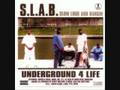 S.L.A.B. vol.1: Where we gone swang