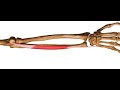 Two Minutes Of Anatomy Extensor Carpi Ulnaris ECU