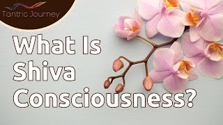 What Is Shiva Consciousness