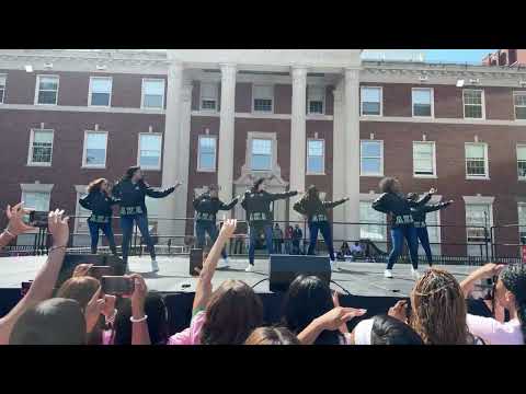 The AKA's Came To Step! | Alpha Kappa Alpha, Alpha Chapter Yard Show Spring 2025 Howard University