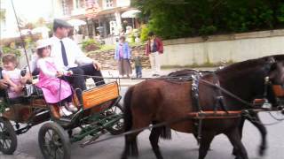 preview picture of video 'Bad Elster im Mai 2012 (Equipage).wmv'