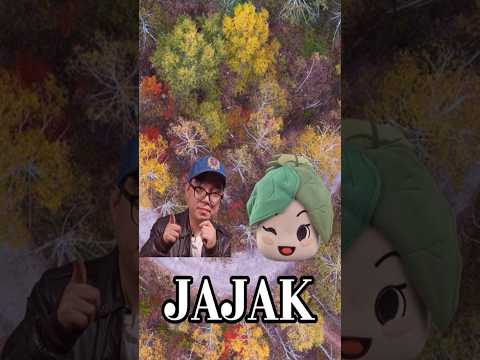 자작 아파트로 구경오세요