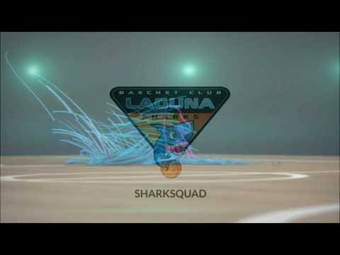 Laguna Sharks Basketball
