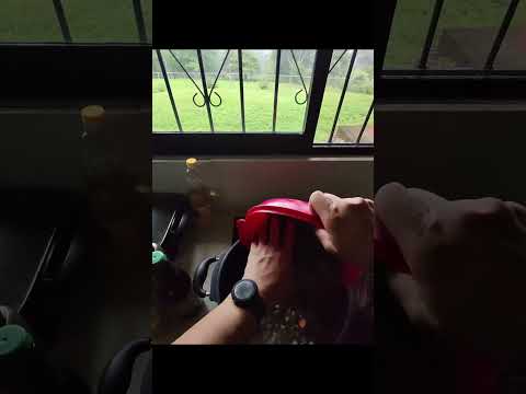 Picadillo de vainica. Cocinando a ciegas.