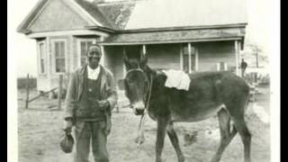 Memphis Minnie - Sylvester And His Mule Blues