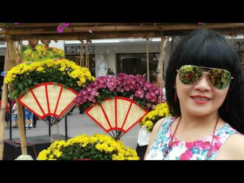 Hãy Cứ Là Tình Nhân & Vũ Khanh &HHH