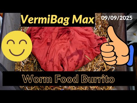 Vermibag Max -  Wrapping Worm Food in a Burrito! 9/9/2026