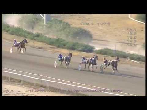 Trotto Corse del 26 Agosto 2017