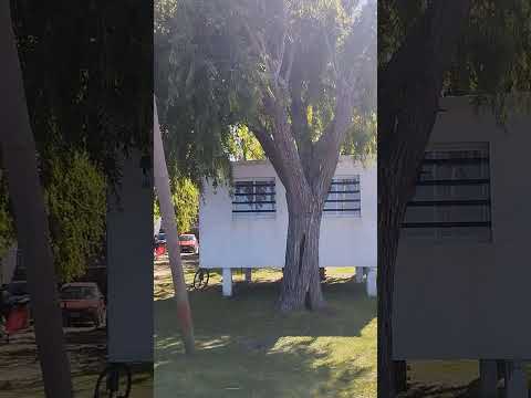 balneario de Magdalena provincia de Buenos Aires.