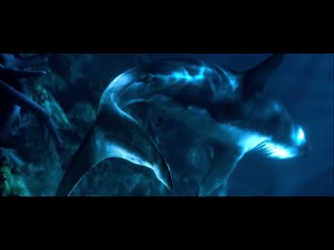 CRUZ CAFUNÉ ❌ ROSALÍA 🦈🏍 - MOVEZZ EN SILENCIO (MVSSIVE REMIX)