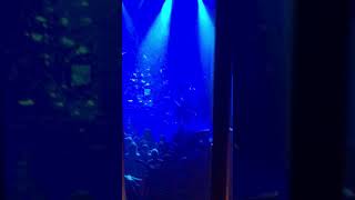 Morbid Angel He Who Sleeps