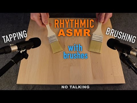 ASMR Rhythmic Tapping & Brushing w/ Brushes (No Talking)