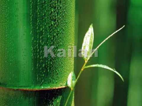 Kailan video
