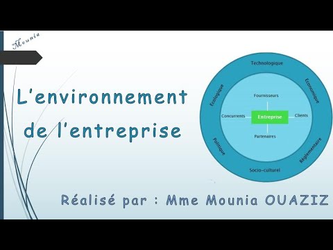 L'environnement de l'entreprise