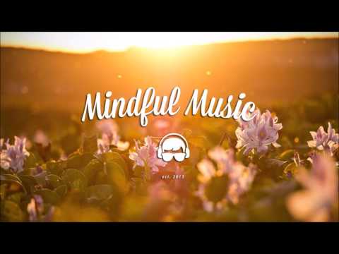 Culpeo - Outset [HD]