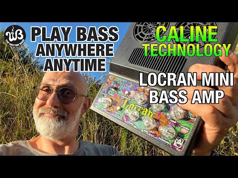 One of the most practical practice bass amp? The Caline Locran mini bass amp.