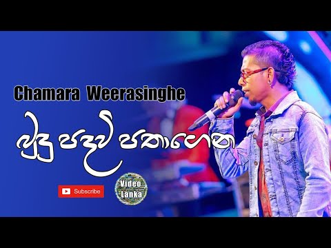 Budu Padavi Pathagena Daruwan Rakina | Chamara Weerasinghe Songs | Sinhala Songs